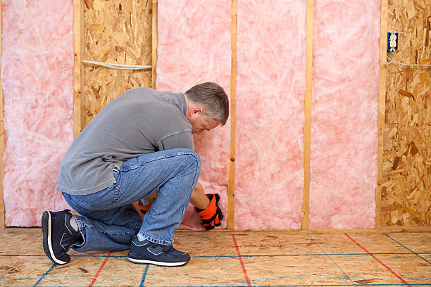 Best Wall Insulation Installation  in Newton, IA