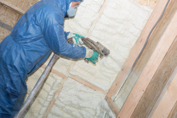 Best Insulation for Metal Buildings  in Newton, IA